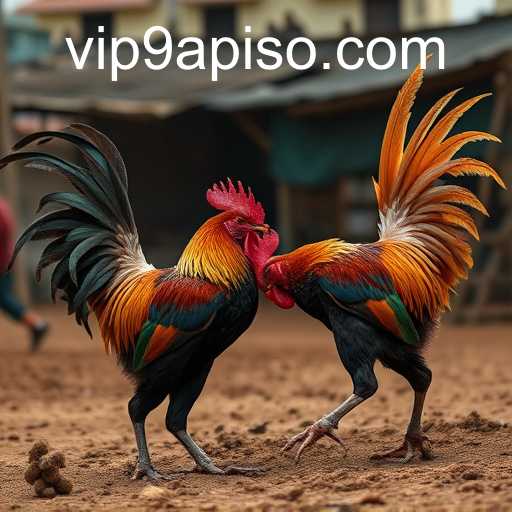 The Complex World of Cockfighting: Culture, Controversy, and Containment